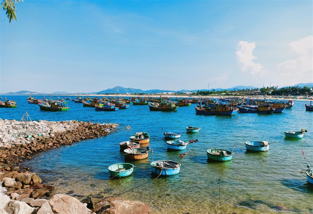 Phú Yên ghi nhận 8 ca dương tính virus SARS-CoV-2 đầu tiên